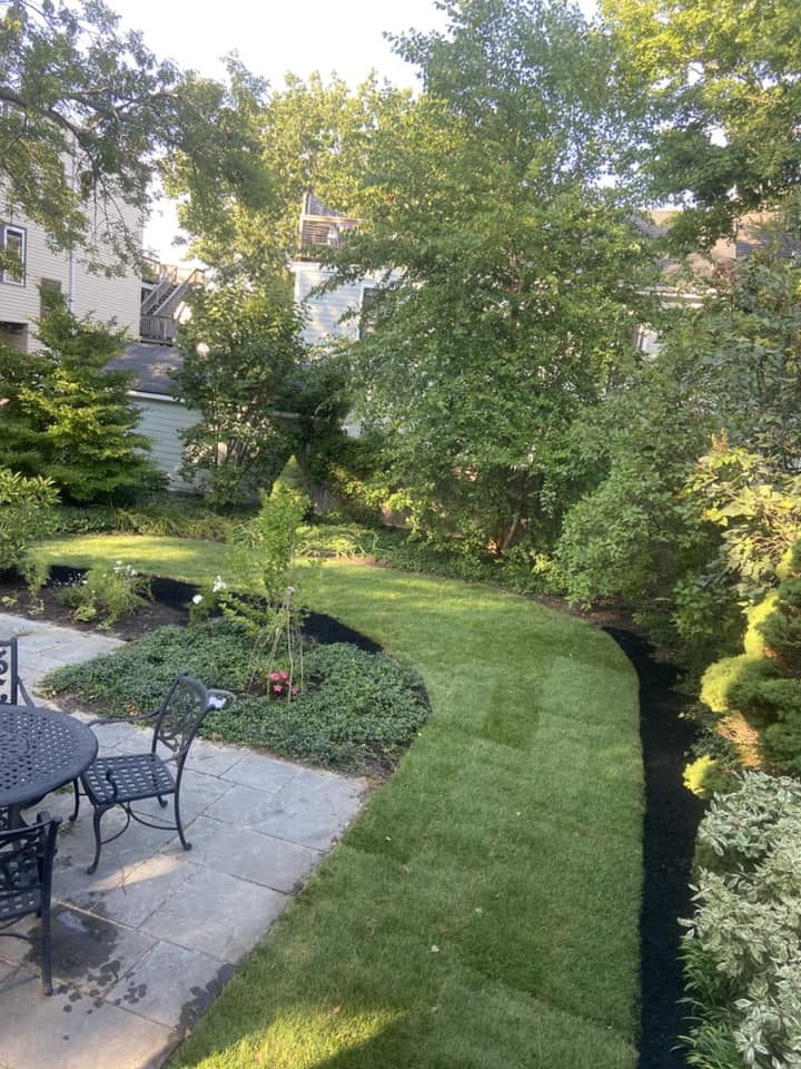 Yard Maintenance image