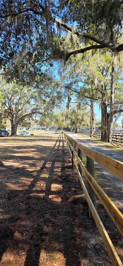 A wooden fence runs alongside a gravel path under moss-draped trees in a sunny, wooded area.