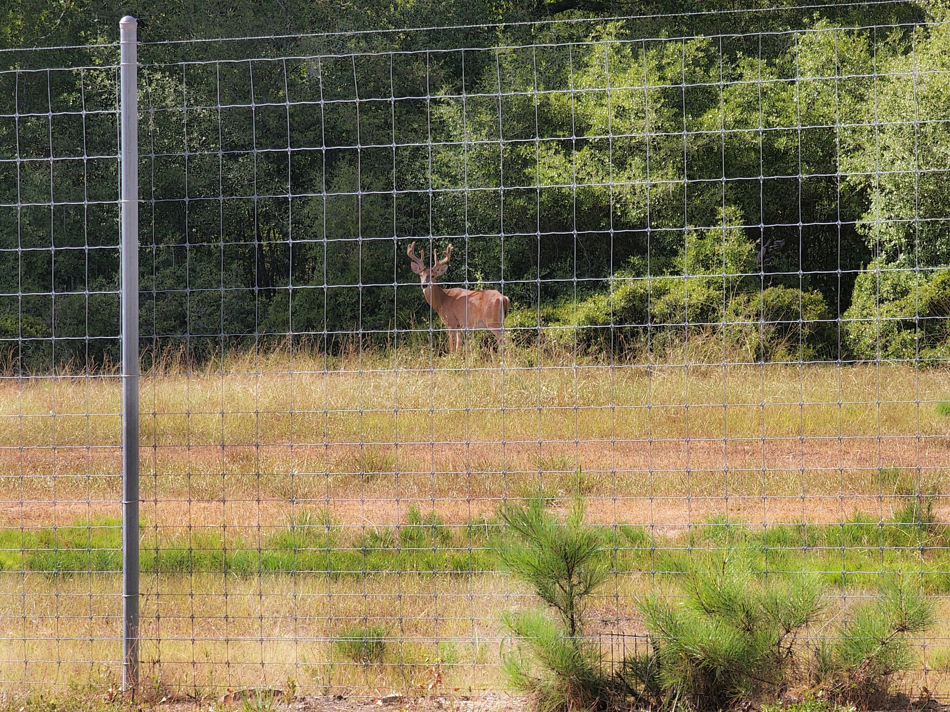 Commercial Welded Wire Fence — Edison, NJ — Precision Fence NJ