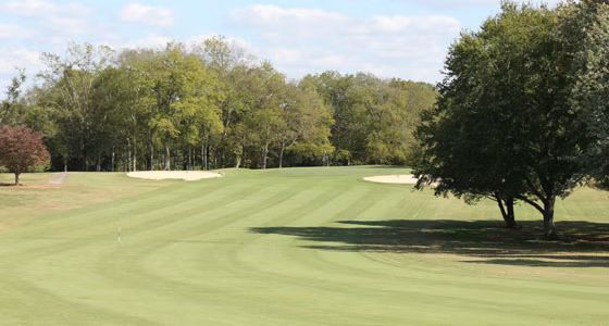 A golf course with trees in the background and a tree in the foreground.