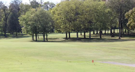 A golf course with trees in the background and a red flag on the green.