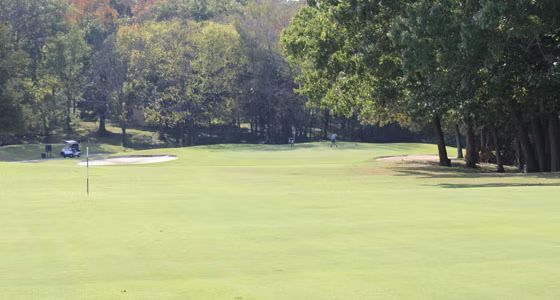 A golf cart is driving down a golf course surrounded by trees.