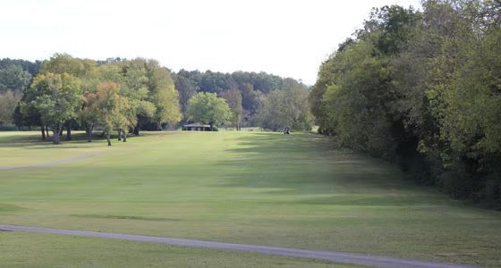 A golf course with trees and a path going through it.