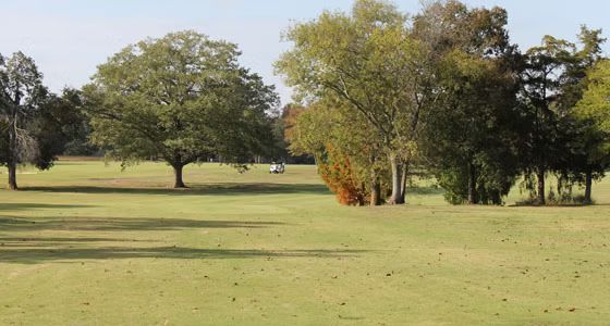 A golf cart is driving through a grassy field with trees in the background.