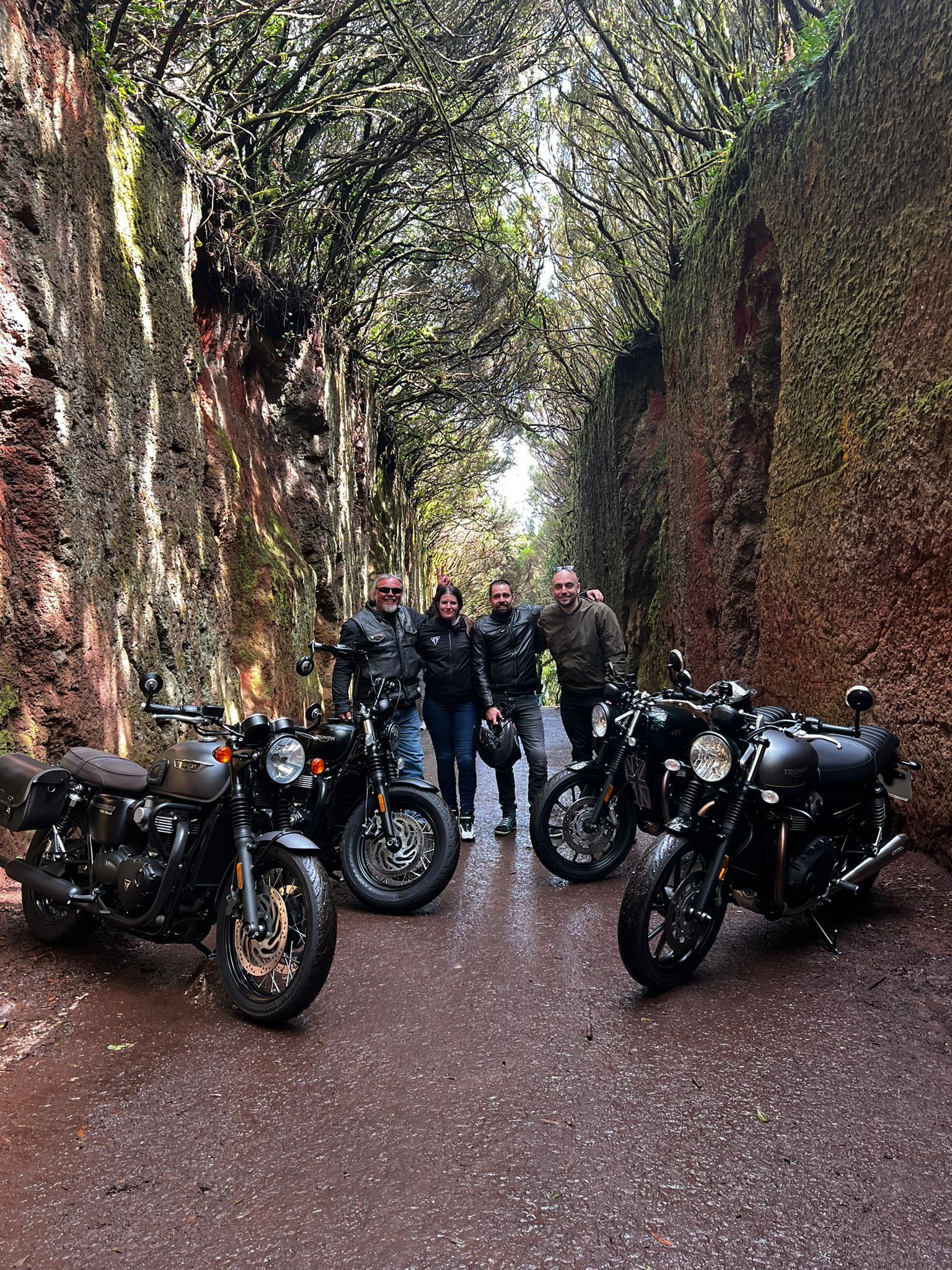 Triumph Tenerife