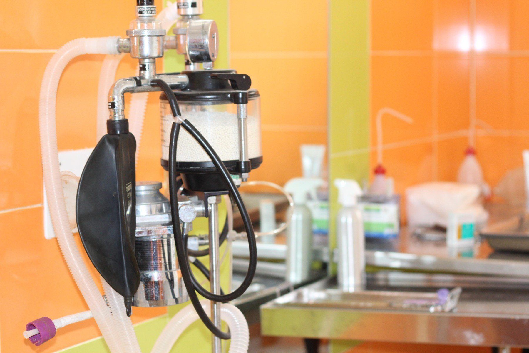 Macchinari di ultima generazione presso l'ambulatorio Vetland di Matera