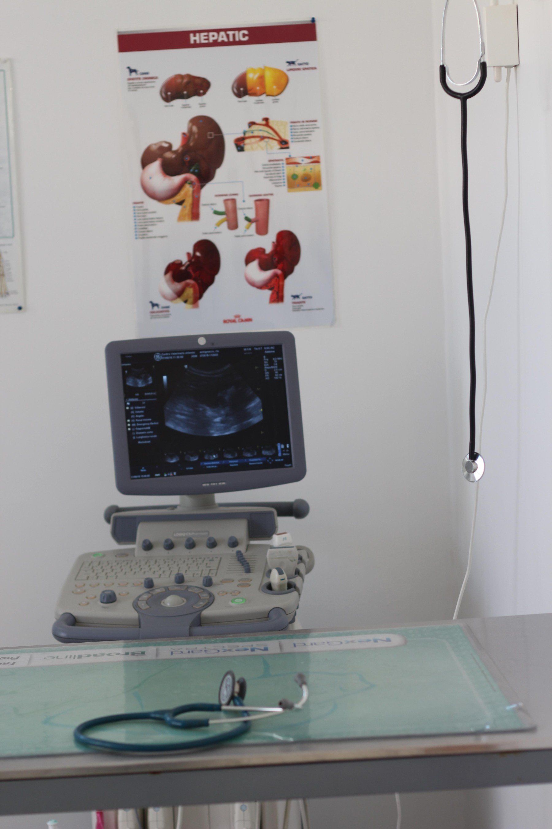 Macchinari di ultima generazione presso l'ambulatorio Vetland di Matera