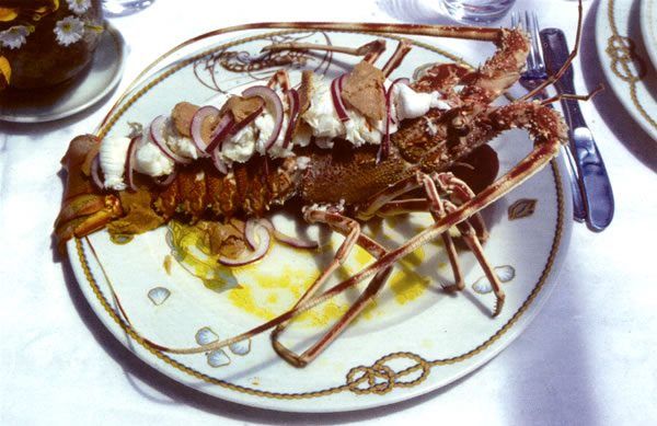 Piatto di aragosta su un piatto decorativo, guarnito con cipolle e salsa.