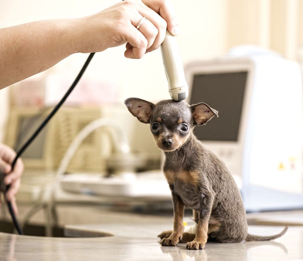 Ultrasonogrāfiskie izmeklējumi