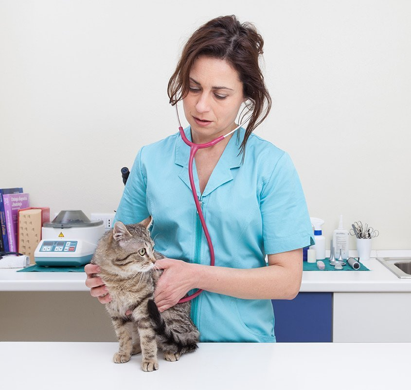 Профилактический осмотр