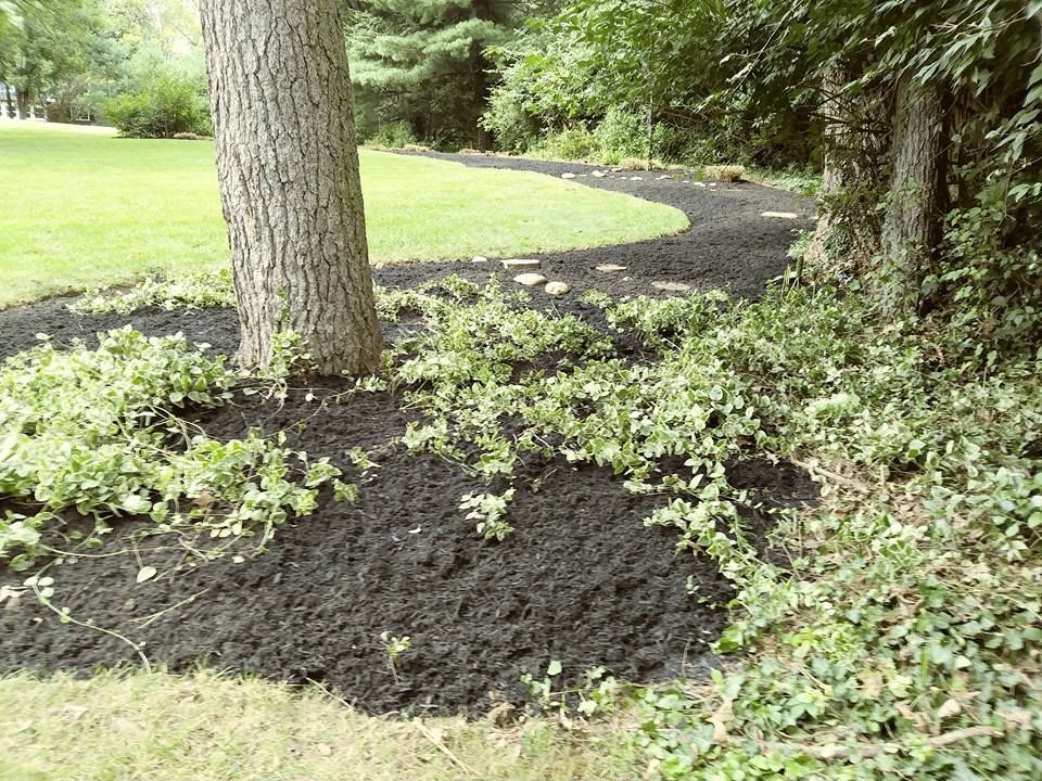 A dark mulch pathway curves through a green, tree-lined yard, wrapping around the base of a large tree trunk.