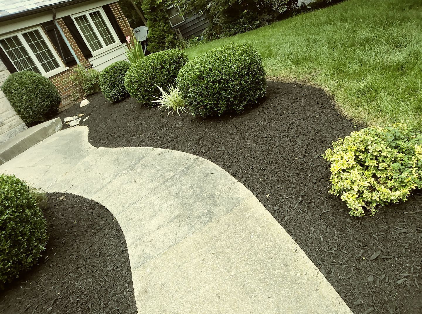 A curved stone walkway leads to a brick house, bordered by dark mulch and several small, round, manicured green shrubs.