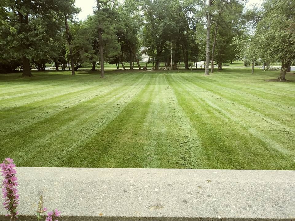 A manicured green lawn with light and dark striped patterns, viewed past a grey stone ledge with purple flowers.