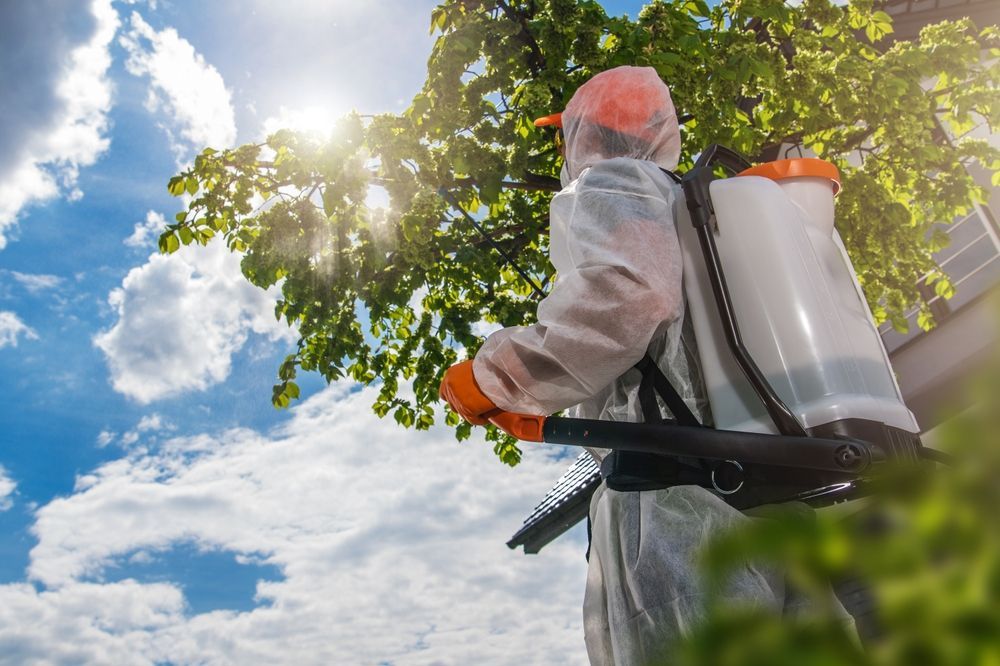 A person in protective gear using a backpack sprayer to treat a tree against a bright, sunny sky.