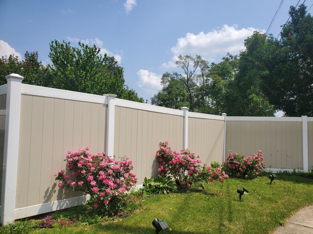 A beige vinyl privacy fence with white posts stands behind several blooming pink rose bushes on a sunny day.