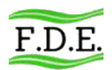 F.D.E. SOFFIERIA VETRO logo