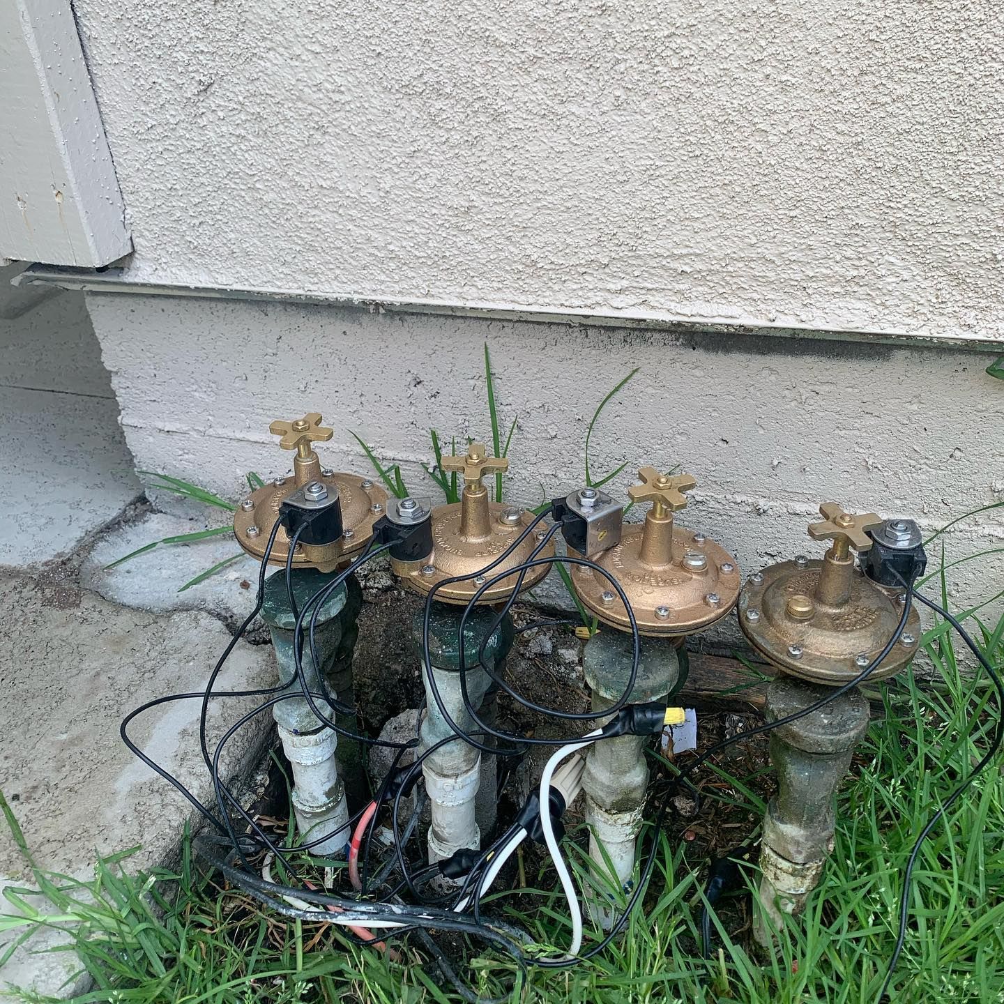 Four irrigation valve heads with brass tops and attached wires, set in grass against a light-colored wall.