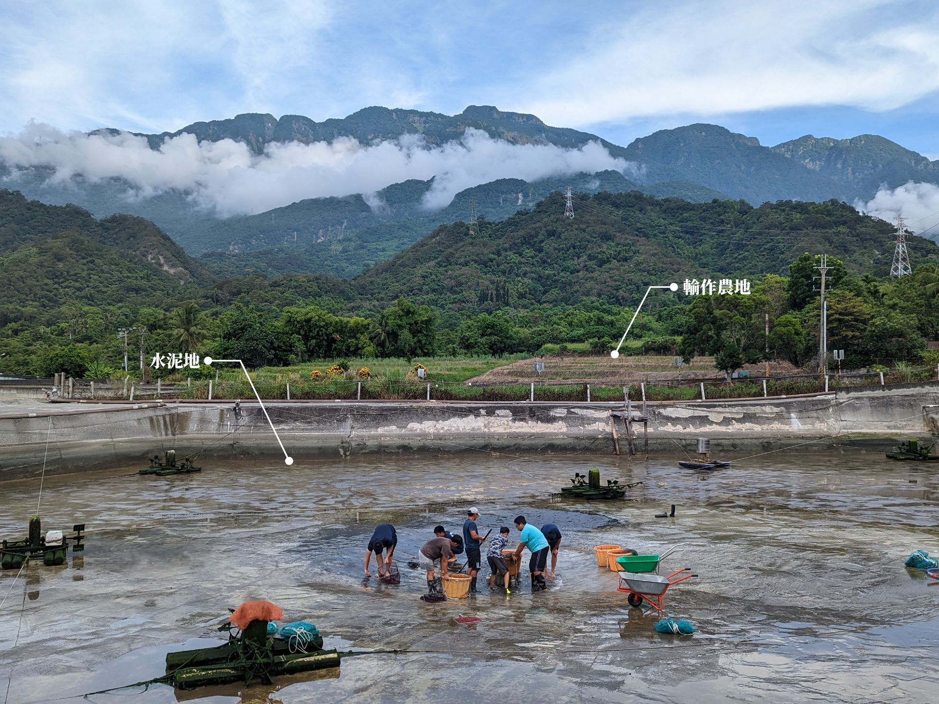 在水產養殖業，常見的養殖池多是類似農田的「軟底泥土池」。相比之下，「硬底水泥池」在水產養殖業中相對稀少。這主要是因為建造硬底水泥池的成本相對較高，一開始就要投入大量費用。首先是挖地、鋪水泥的成本，接著