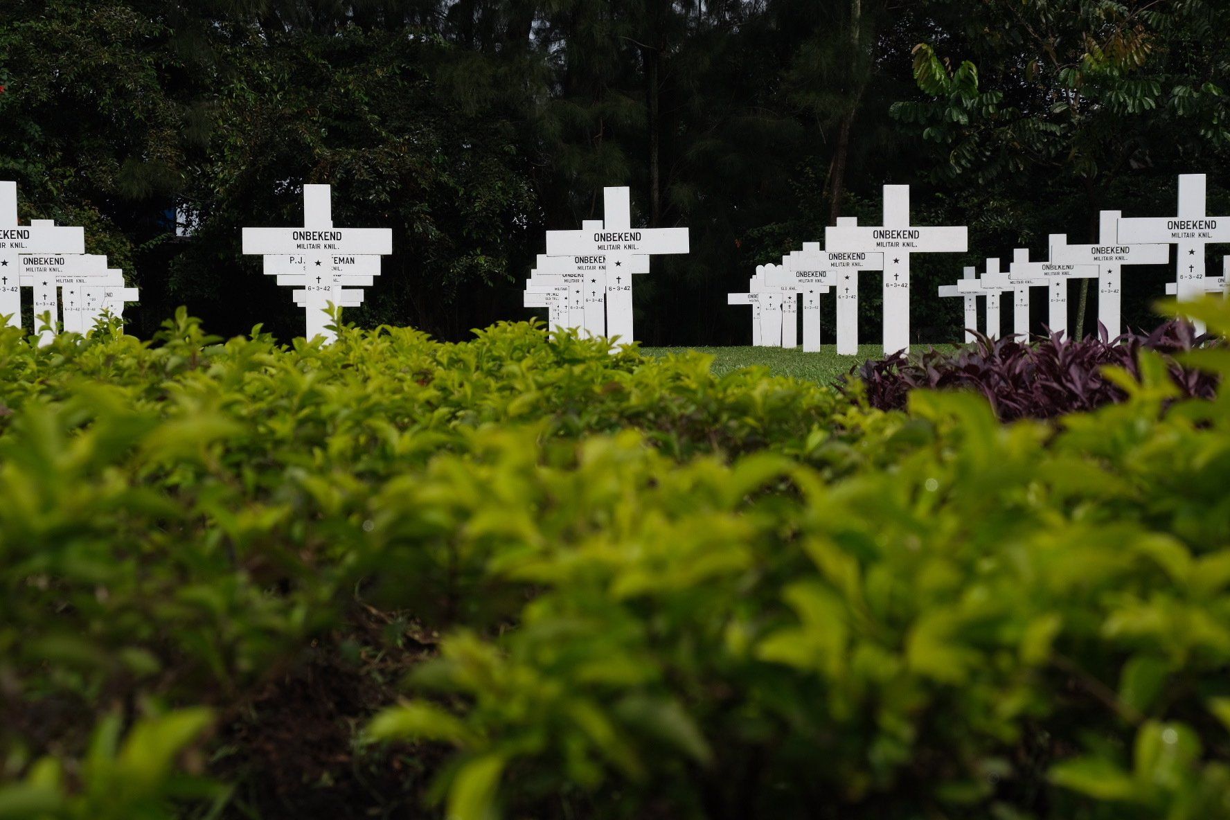Foto Ereveld Pandu, Indonesië. Graven van onbekende slachtoffers Nederlands-Indië.