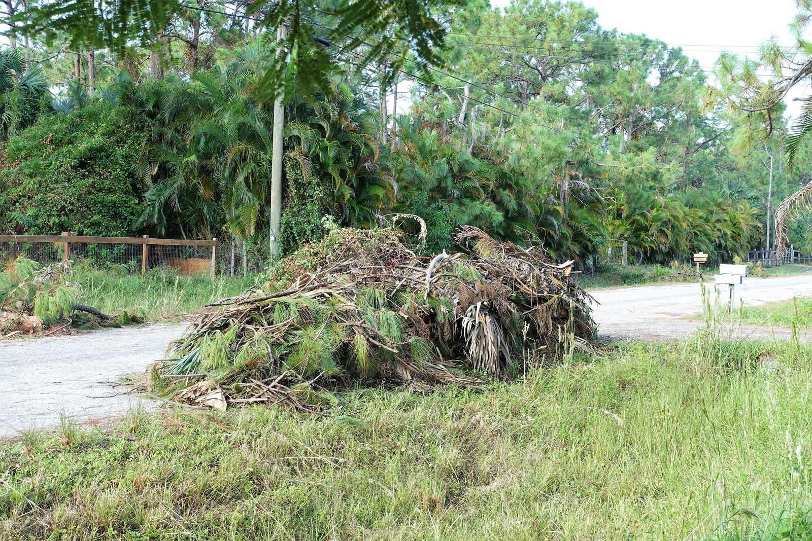 A pile of branches is sitting on the side of a road.