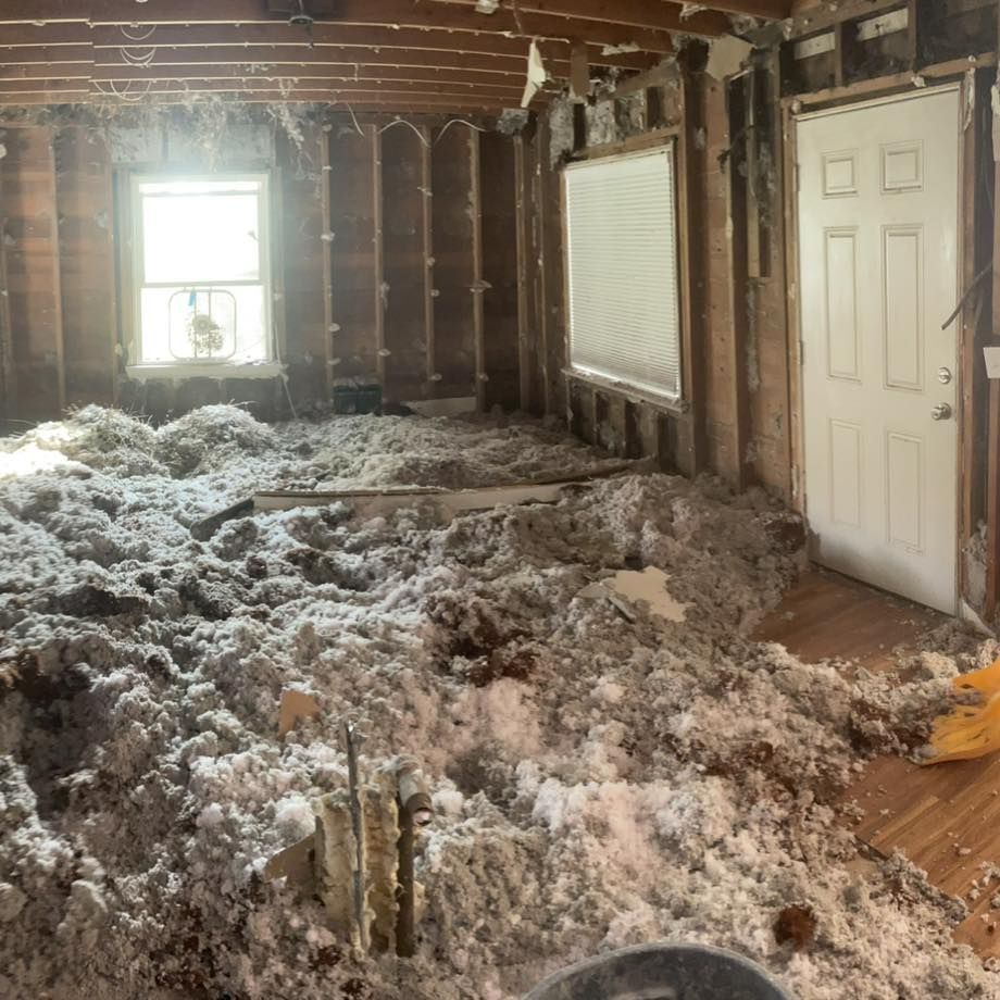 A room with a lot of stuff on the floor