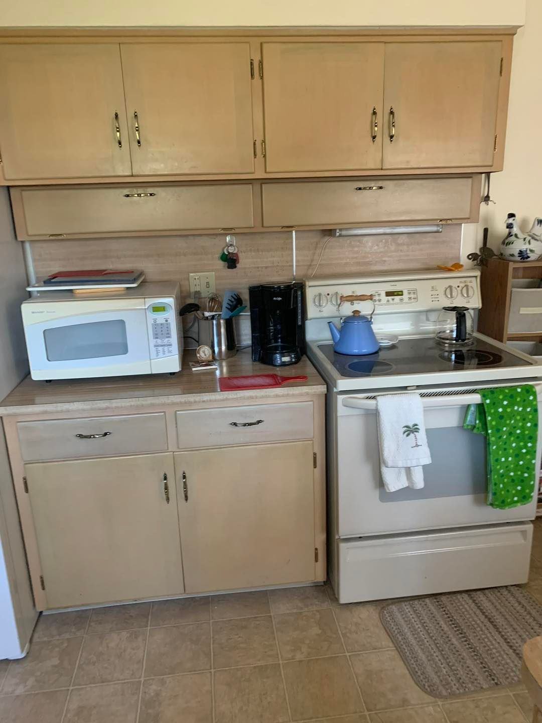 A kitchen with a stove , microwave , and dishwasher.
