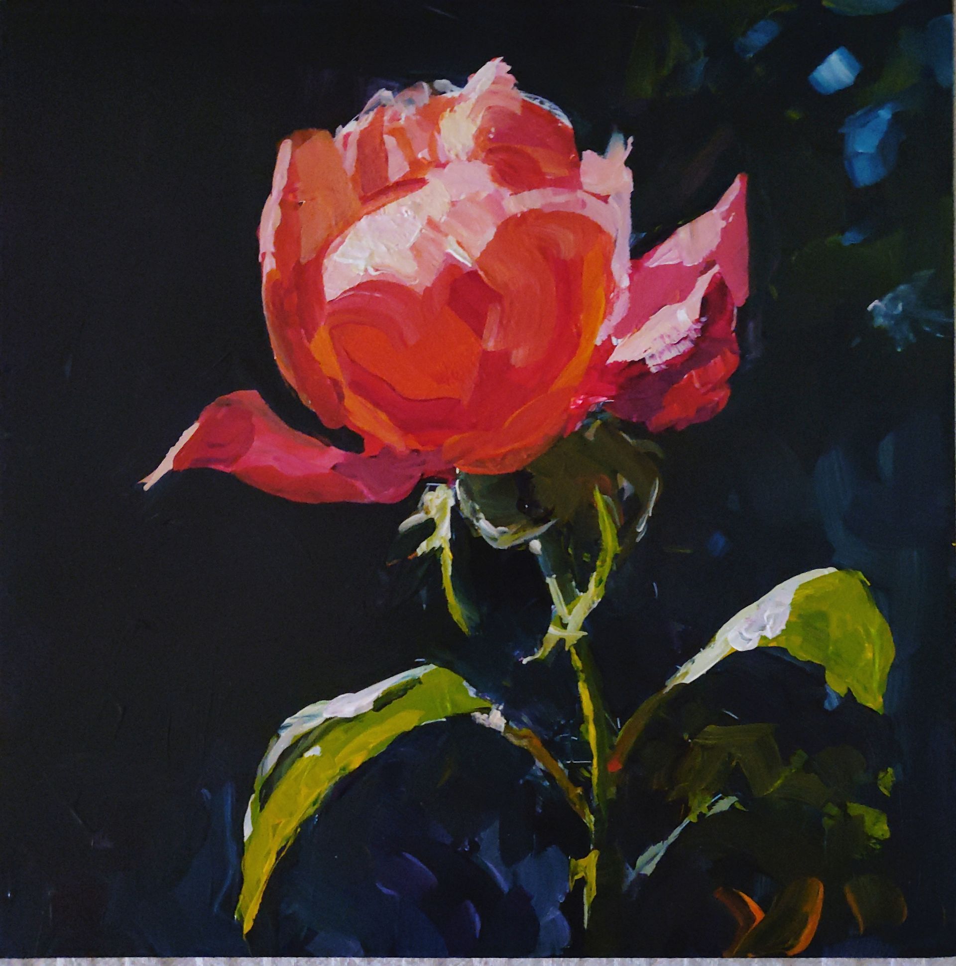 Dianna Shyne - Coral Rose - How To Paint A Rose - Finished Painting