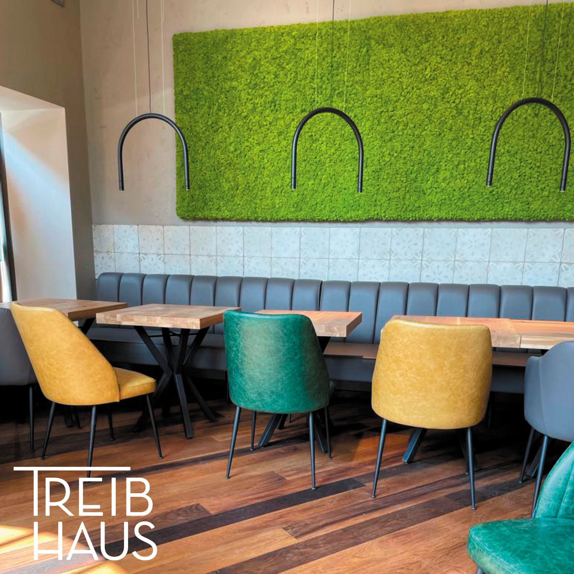 Innenarchitektur und Lichtplanung des Treibhaus Hannover. Leuchten vor Mooswand