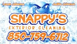 Snappy's Exterior Cleaning