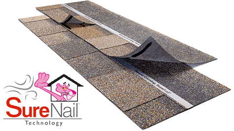 A pink panther is on a roof with a surenail technology logo