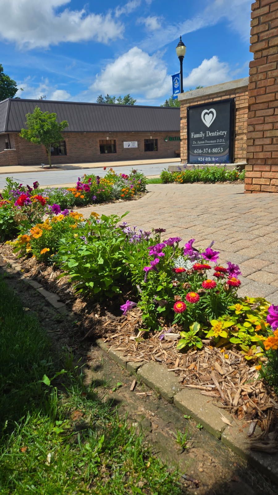 Vibrant flowers bloom in a garden bed alongside a brick pathway.