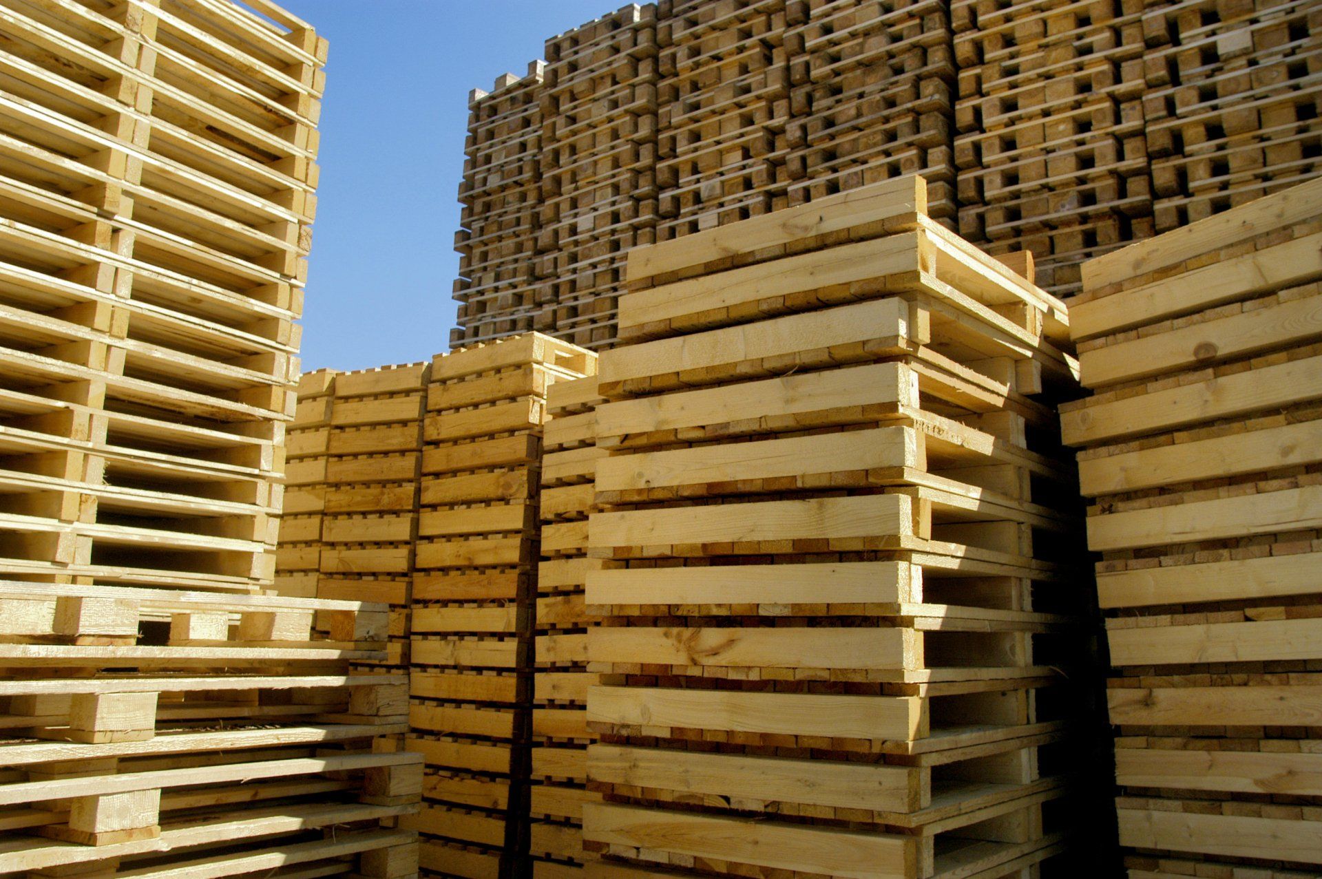 servizi pedana imballaggi