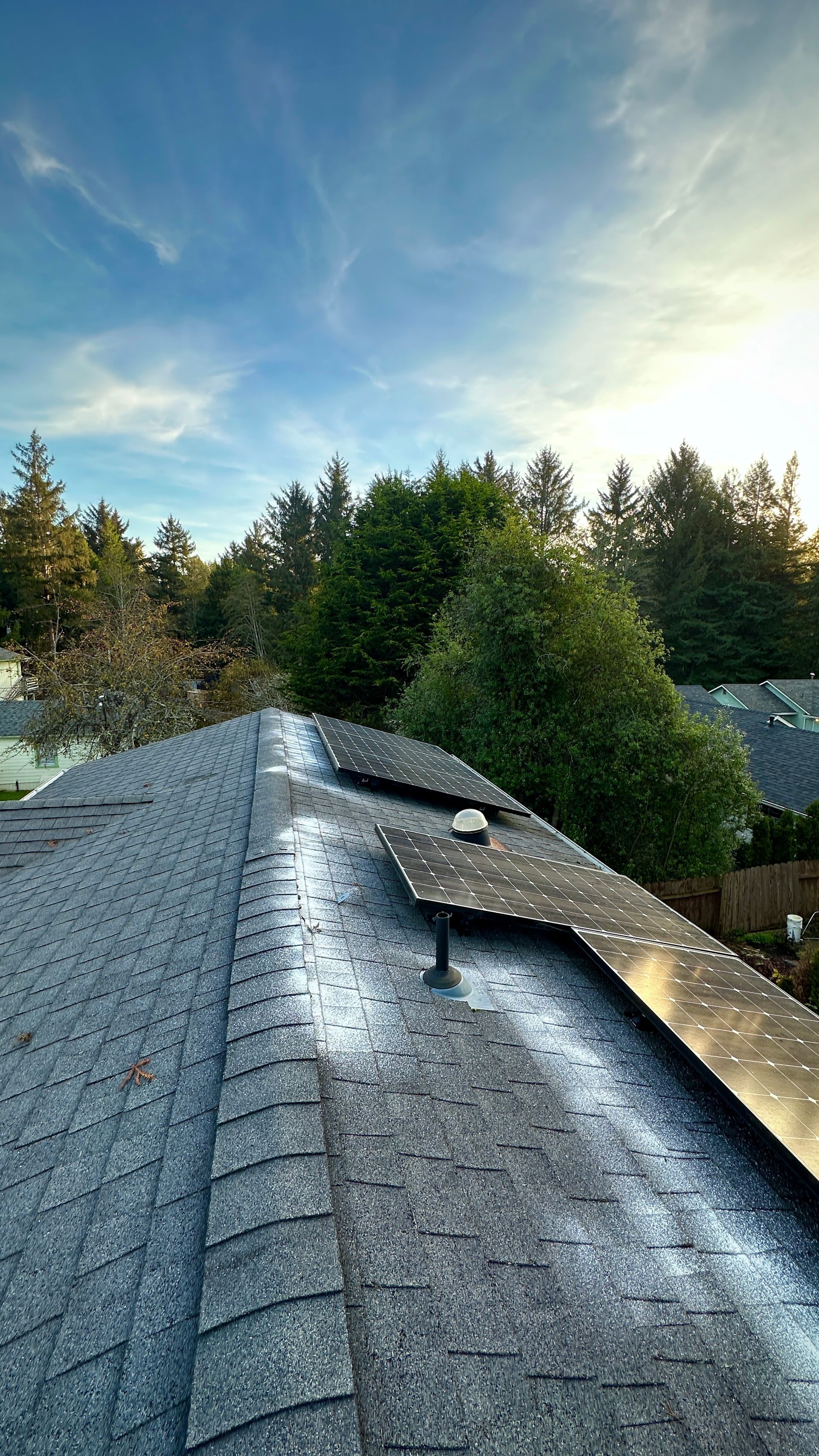 A roof with solar panels on it and trees in the background.