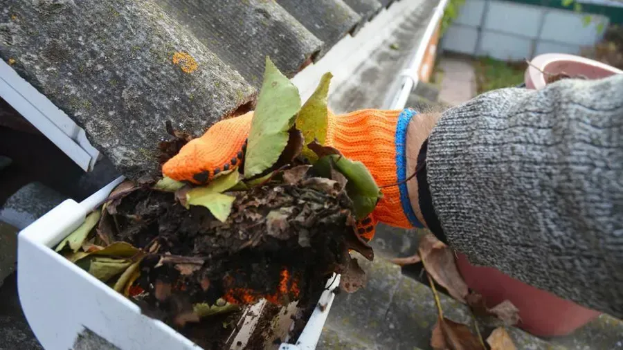 A person wearing orange gloves is cleaning a gutter with leaves.