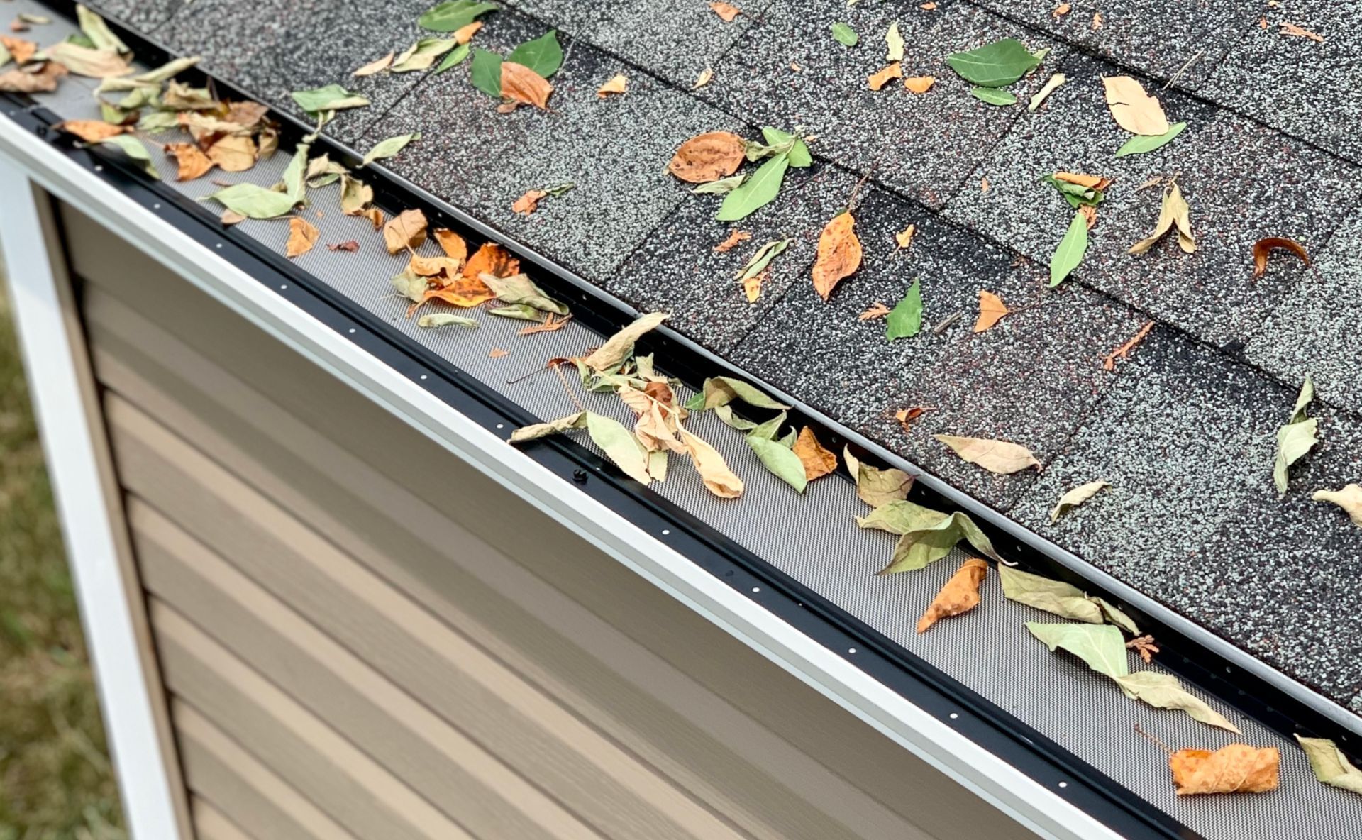 A gutter with leaves on it and a roof in the background.