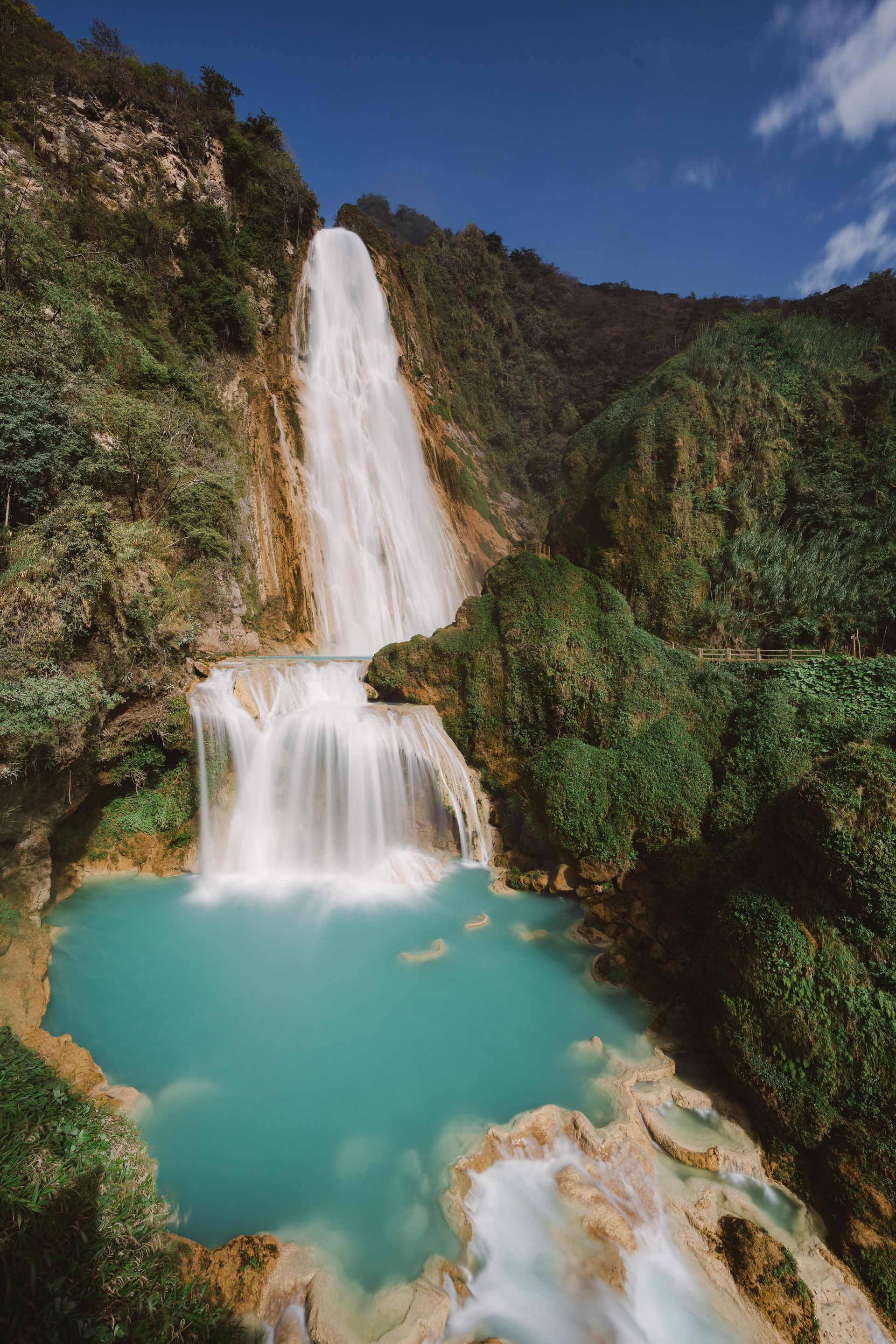 Mexican - High Grown 12oz/340g Whole Bean