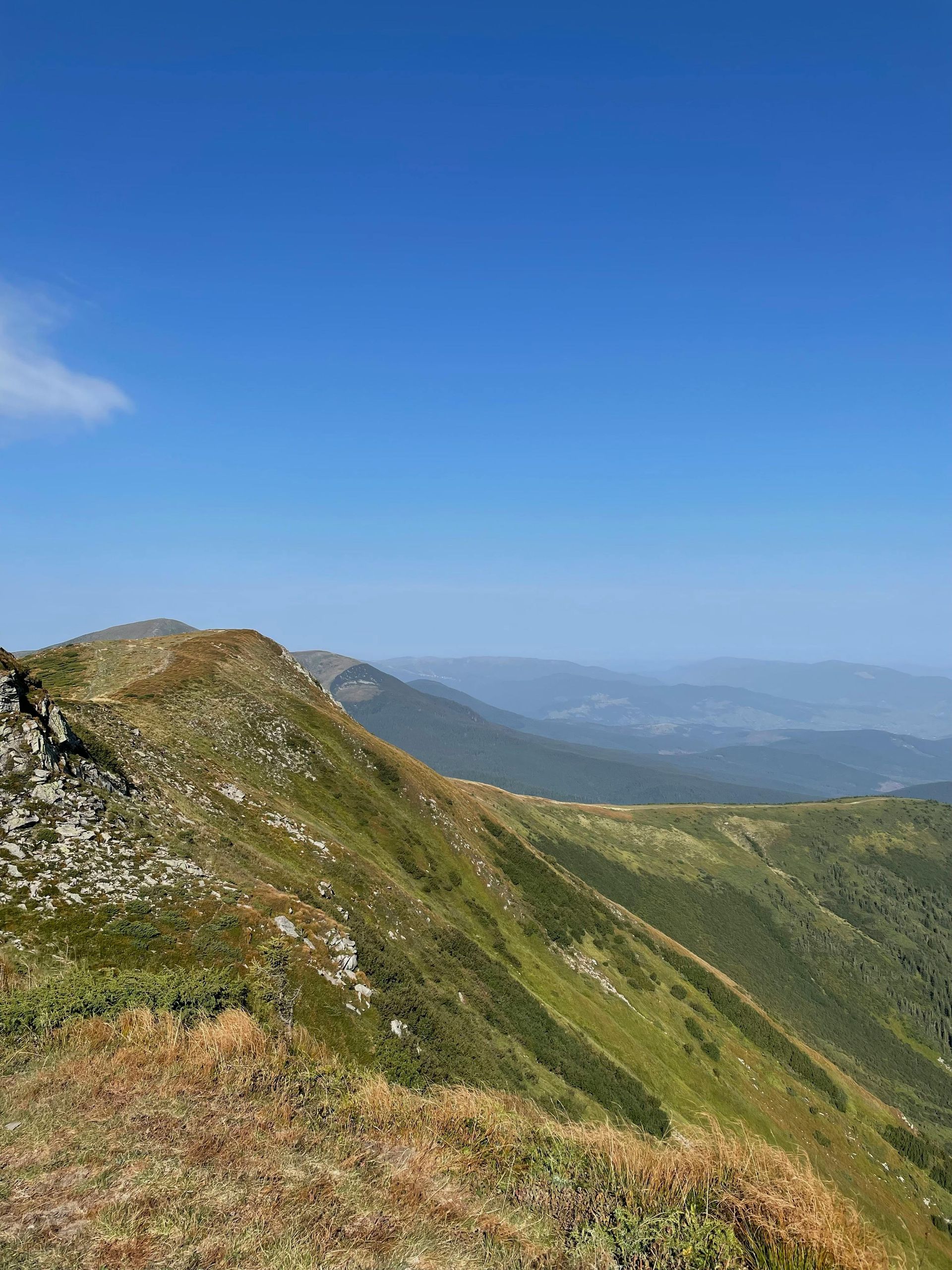 Ethiopian Harrar (12 oz/340g) Whole Bean