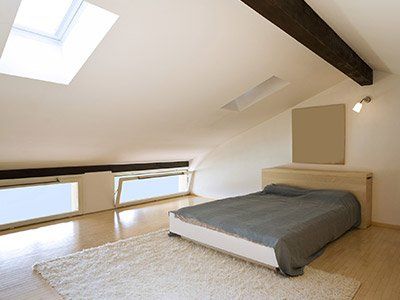 loft and basement conversion
