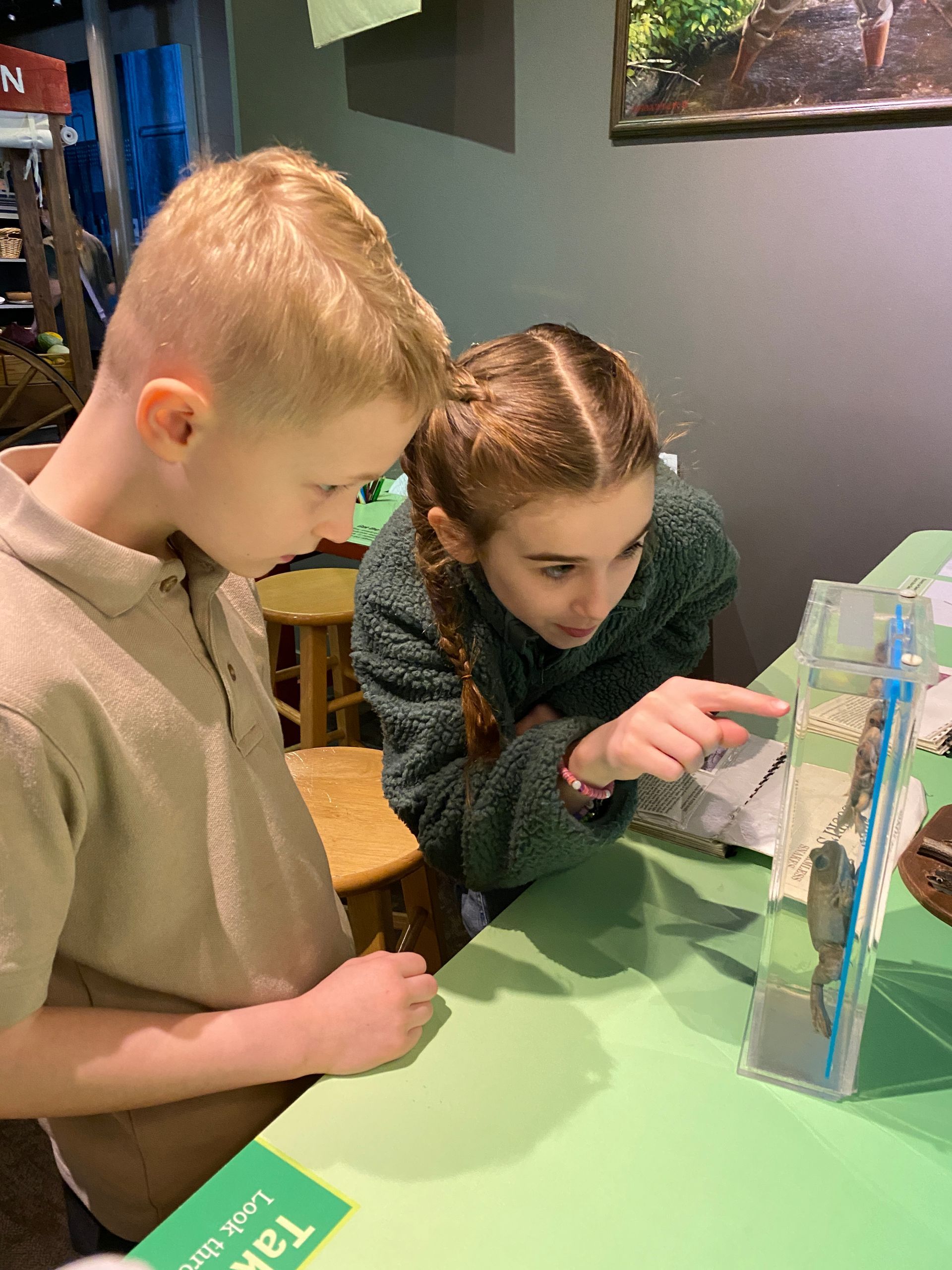 Grammar school classical education