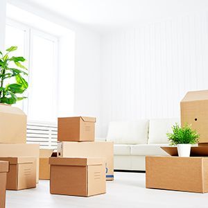 A Living Room Filled With Cardboard Boxes