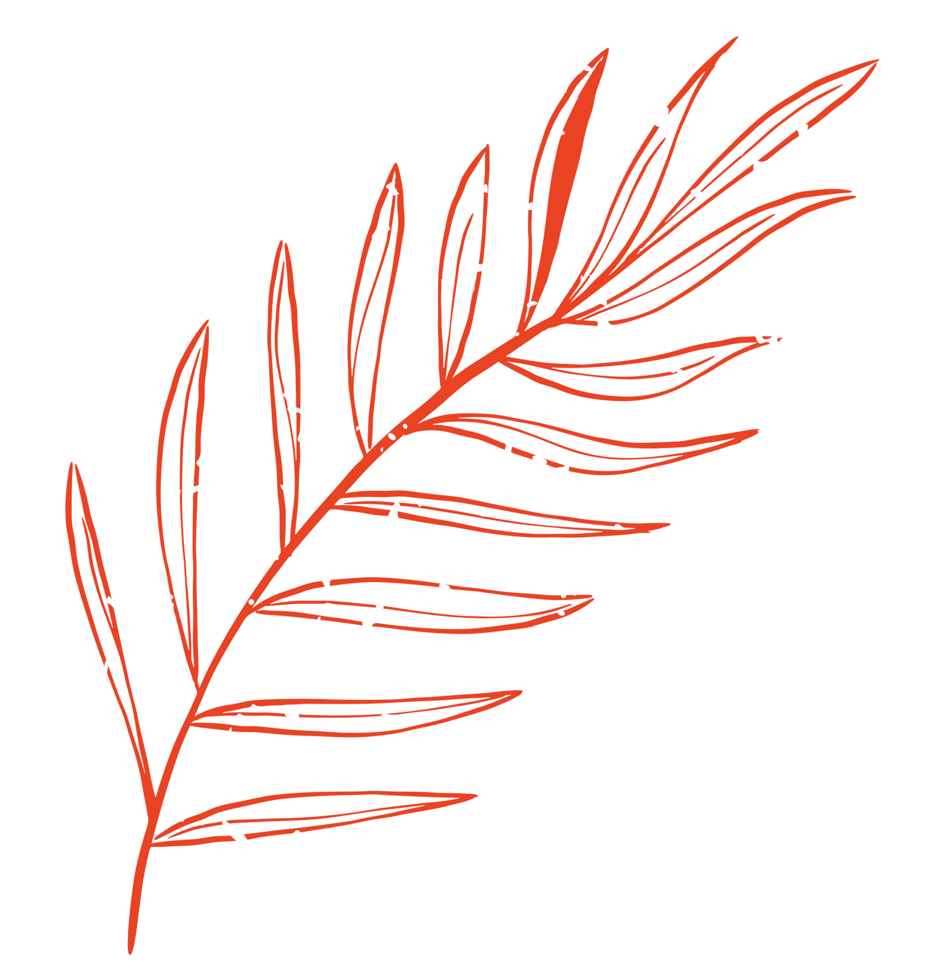 orange leaf icon