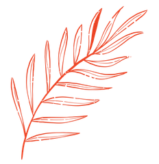 orange leaf icon