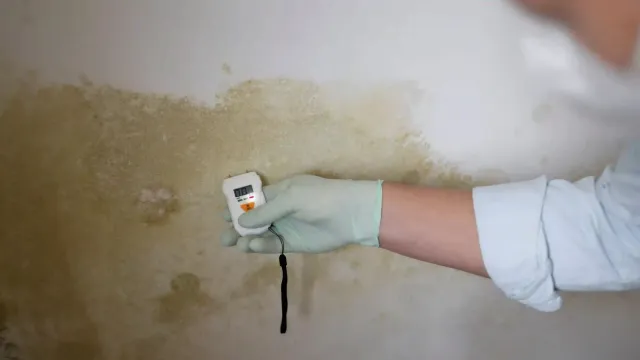A person wearing gloves is holding a thermometer in front of a mouldy wall.