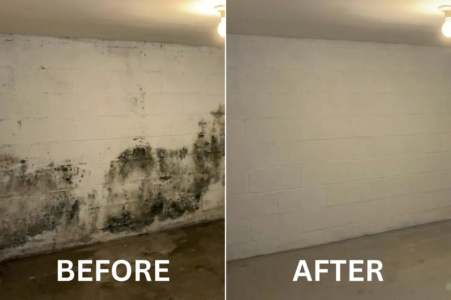 A group of people are sitting around a table having a meeting.