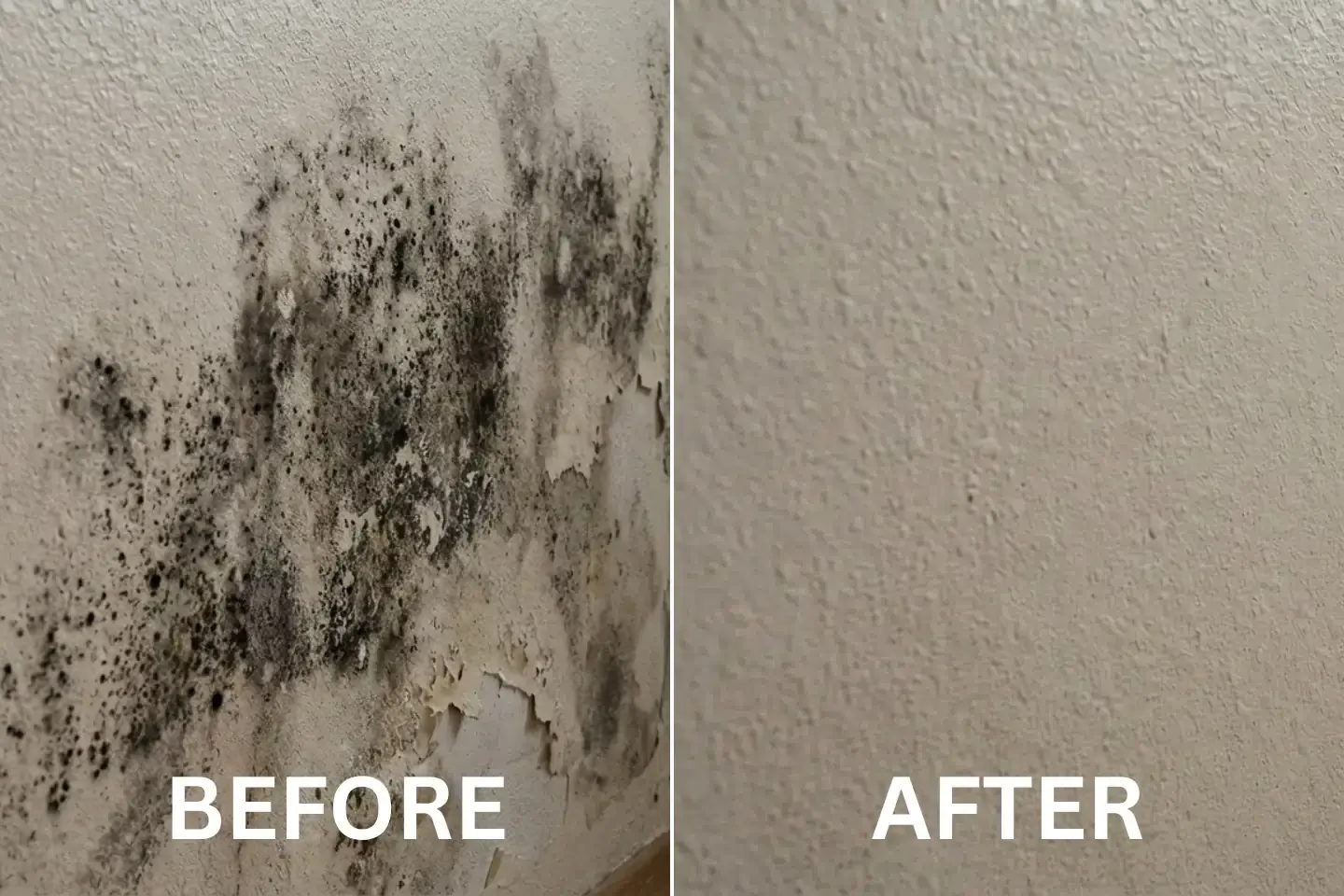 A group of people are sitting around a table having a meeting.