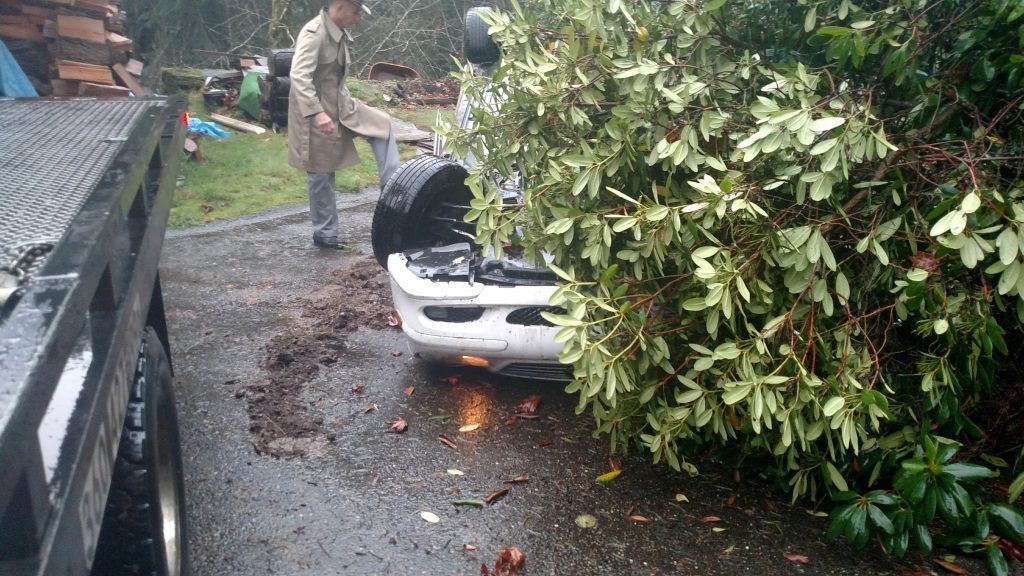 A man is standing next to a car that has been stuck in a tree.