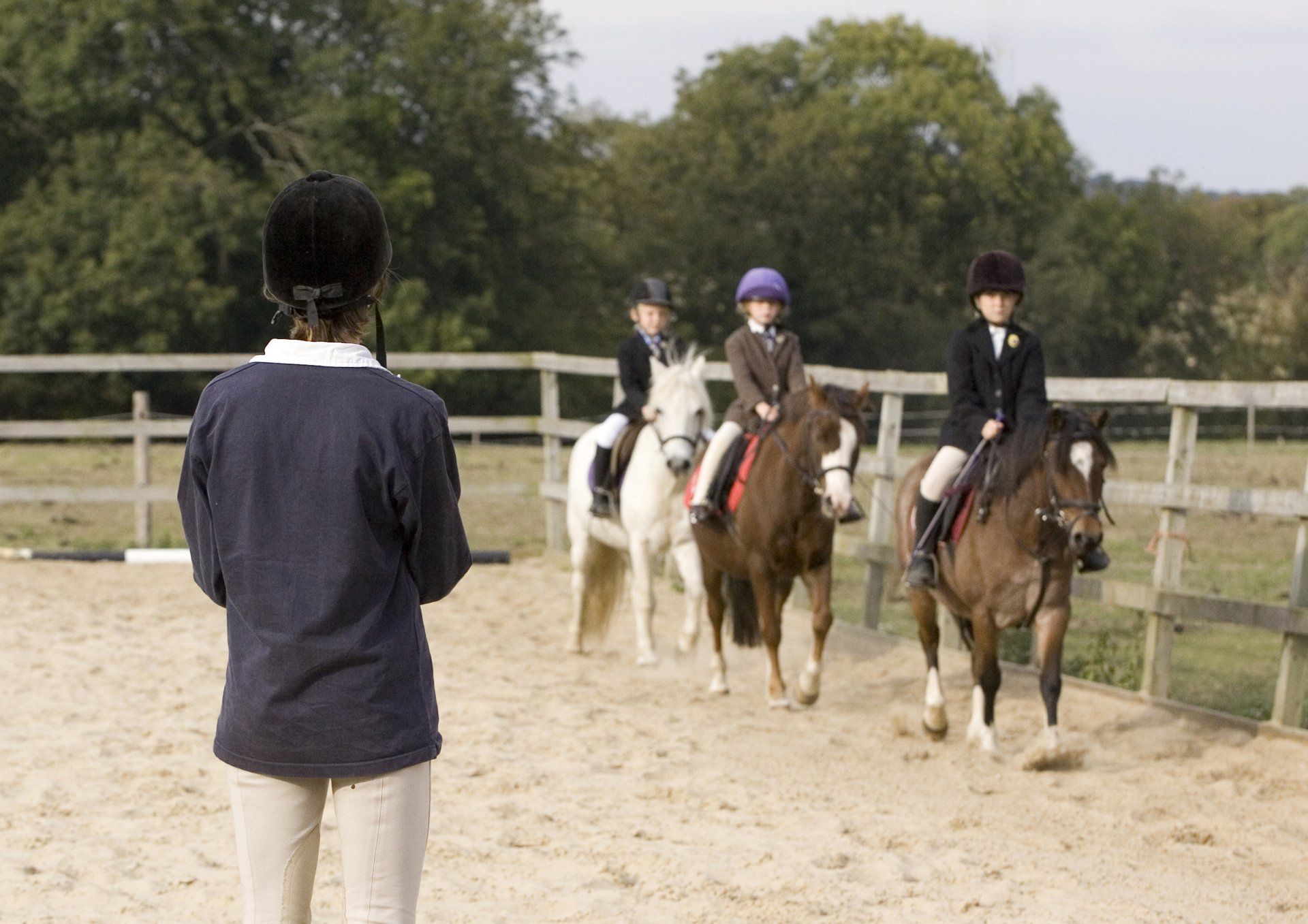 Grove Farm Riding School