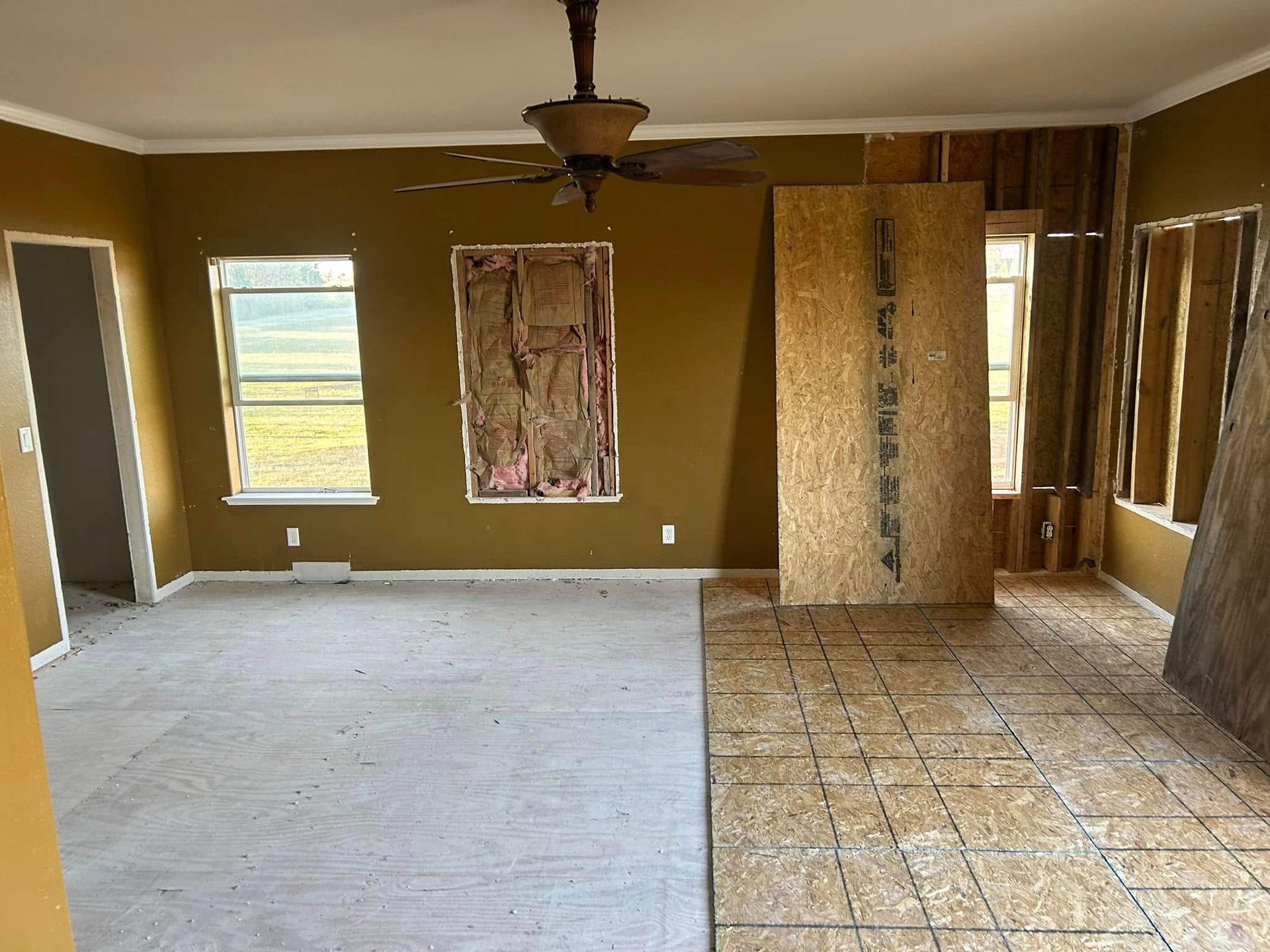 Room under renovation with plywood floor, exposed walls, and green walls.