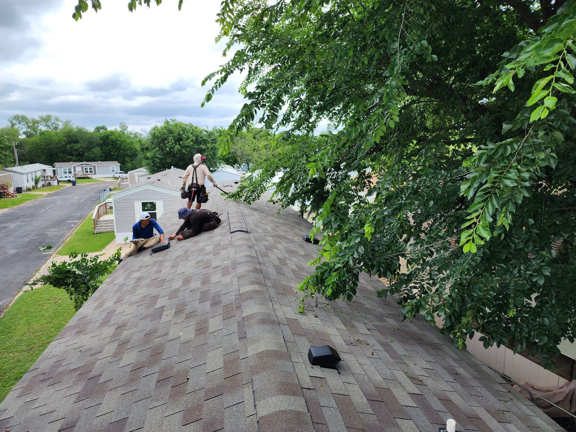 Three people on a shingled roof, near a large tree, working on the roof in an outdoor setting.