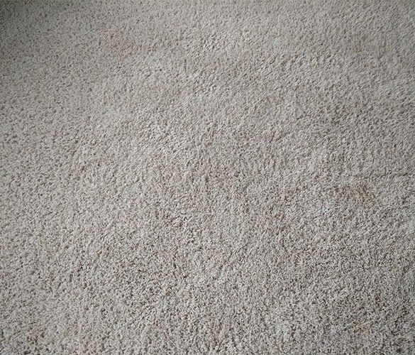 Clean Carpet — Waynesville, NC — Dry Master Carpet Care